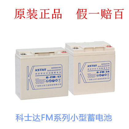 科士达FM系列小型密封蓄电池

